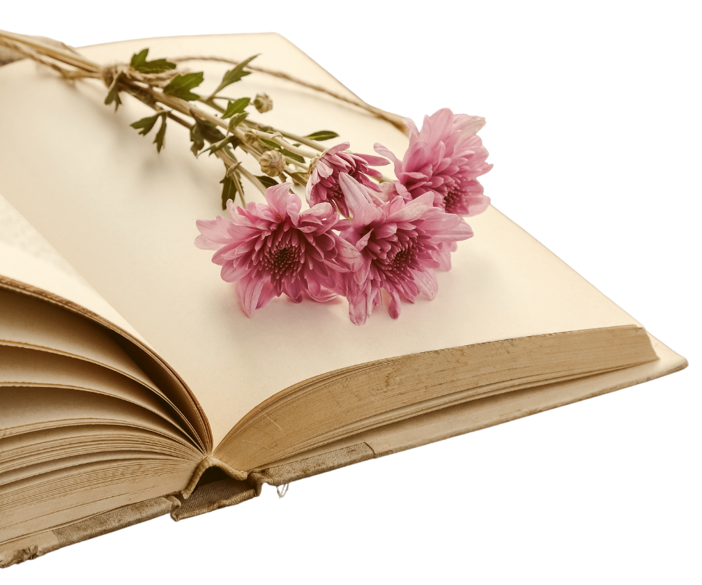 Bild Buch und Blume
